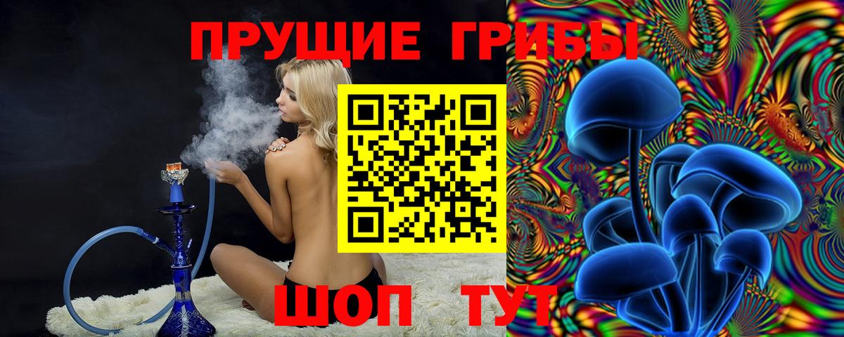 Псилоцибиновые грибы GOLDEN TEACHER Воркута